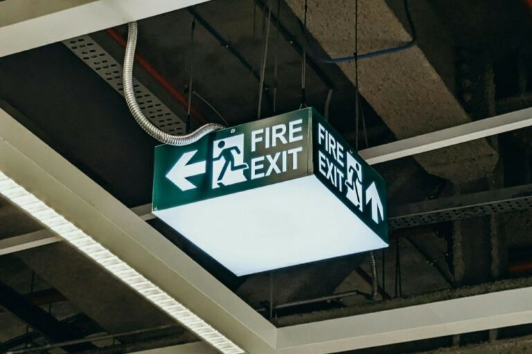 pexels-umarandrabi-19443144